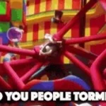 WHY DO YOU PEOPLE TORMET ME