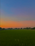 Toothless Dancing Meme [NEW VARIATIONS]