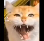 demons under your bed