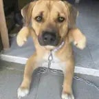 cai de perna aberta 1 (copy) - Sound