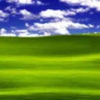 Microsoft (earrape) :)