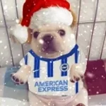 all i want for christmas is pibble