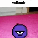 750 ale to vixa jest pt2