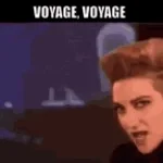 Voyage Voyage