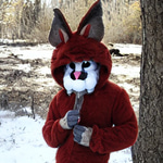 Gorilla tag run rabbit