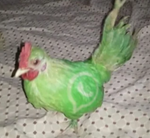 What is eminem doing on the calculator