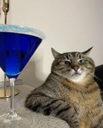 DALAWANG BESES NA YAN SOUND EFFECT FREE DOWNLOAD - Sound