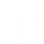 audio fart FUNNY - Sound