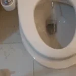 wsp babe im on the toilet rn