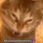 muehehehe (copy)