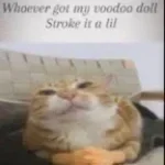 Did you just talk back to me?