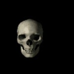 Spinning skull activities