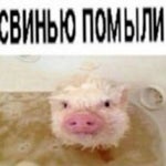 тайлерпидр - Sound