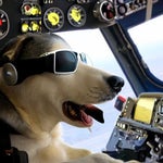 This is your captain speaking.