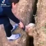 Recording 04/10/26 23:52:53