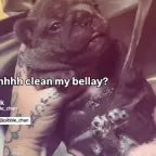 uhhh clean my belly?