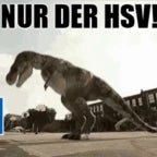 HSV Torhymne Earrape