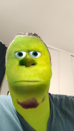 Lingagou don pollo