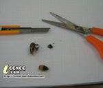 น้าค่อม ไอสัส - Sound