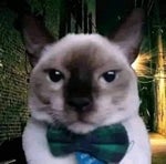 SI TE ENAMORAS PIERDES RKT LUTY DJ