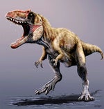 REAEEAREWERRRRRRRRRRRRRRRRRR