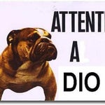 SI VEDE SI SENTE GESU è qui presente chi non salta non ci crede