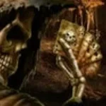 Llamas with hats carll shortened