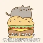 do you want a phucking beesechurger (copy)