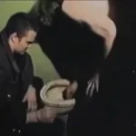 Polkovnik_-_CHisti_govno_(Rilds.com)