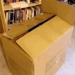 shoe