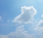 cloudy morning harmonica