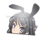 Seishun Buta Yarou wa Bunny Girl Senpai no Yume wo Minai ED