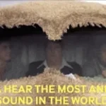 The Most Annoying Sound In The World