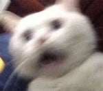 fortnite battle pass song