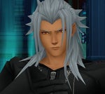 I know what you are. -Xemnas