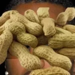 Fistaszki (Pełna wersja - TikTok)