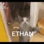 Ethan Sluss