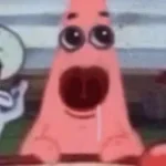 What does the tung do