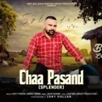 Chaa Pasand Hai (Splendor)