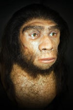 Clash of clans intro - Sound