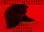 videoplayback