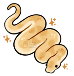 UN UN UN UN UN (meme)