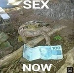 Ahí están las masacres jejeje