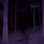 bleach (Slowed + Reverb) by Vandalism