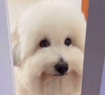 is it ok if i touch you?