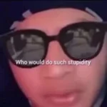 who would such stupidity