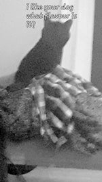 vomit in the ball pit