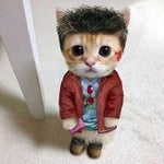 krijemo se mi u dzamiji kod