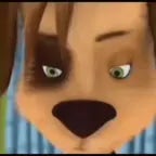 barboskinyi-zastavka