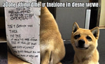 ur done